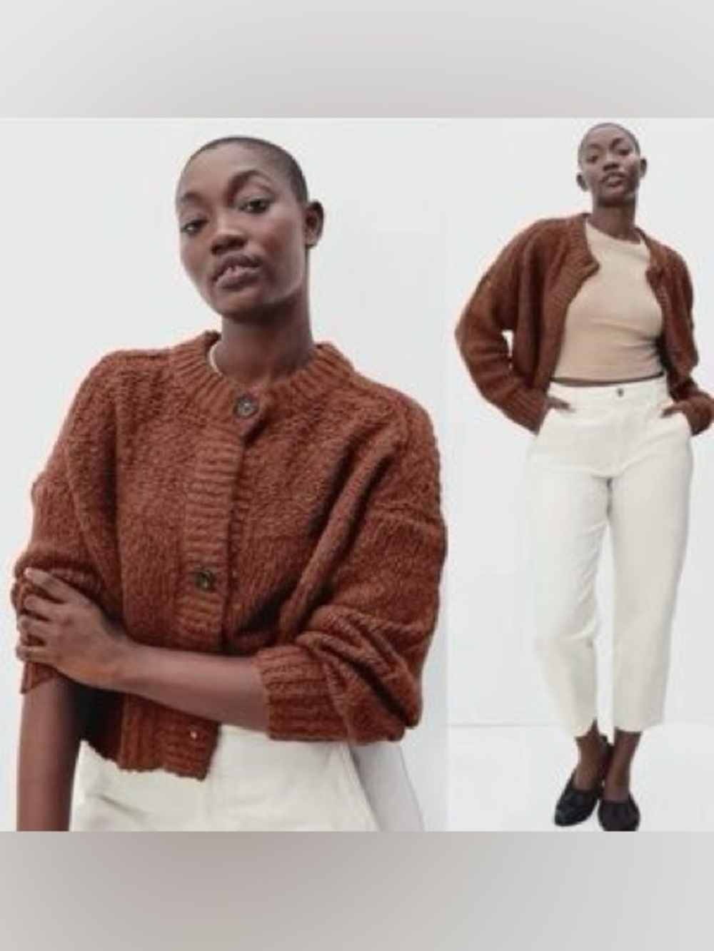 Everlane Lofty Knit wool alpaca blend brown chucky knit cardigan